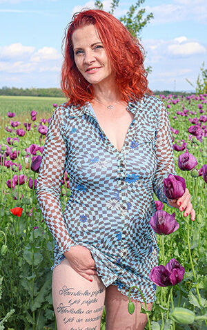 Iva Gingi